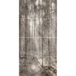 GREY FOREST mural zadruk wielkoformatowy 4x60x120