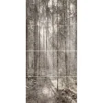 GREY FOREST mural zadruk wielkoformatowy 4x60x120