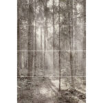 GREY FOREST mural zadruk wielkoformatowy 4x60x120