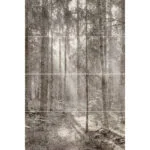 GREY FOREST mural zadruk wielkoformatowy 4x60x120